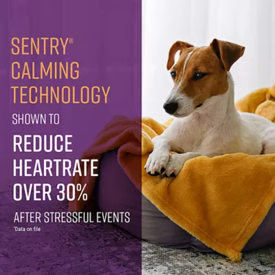Product SENTRY® Portable Calming Diffuser Kit for Dogs
