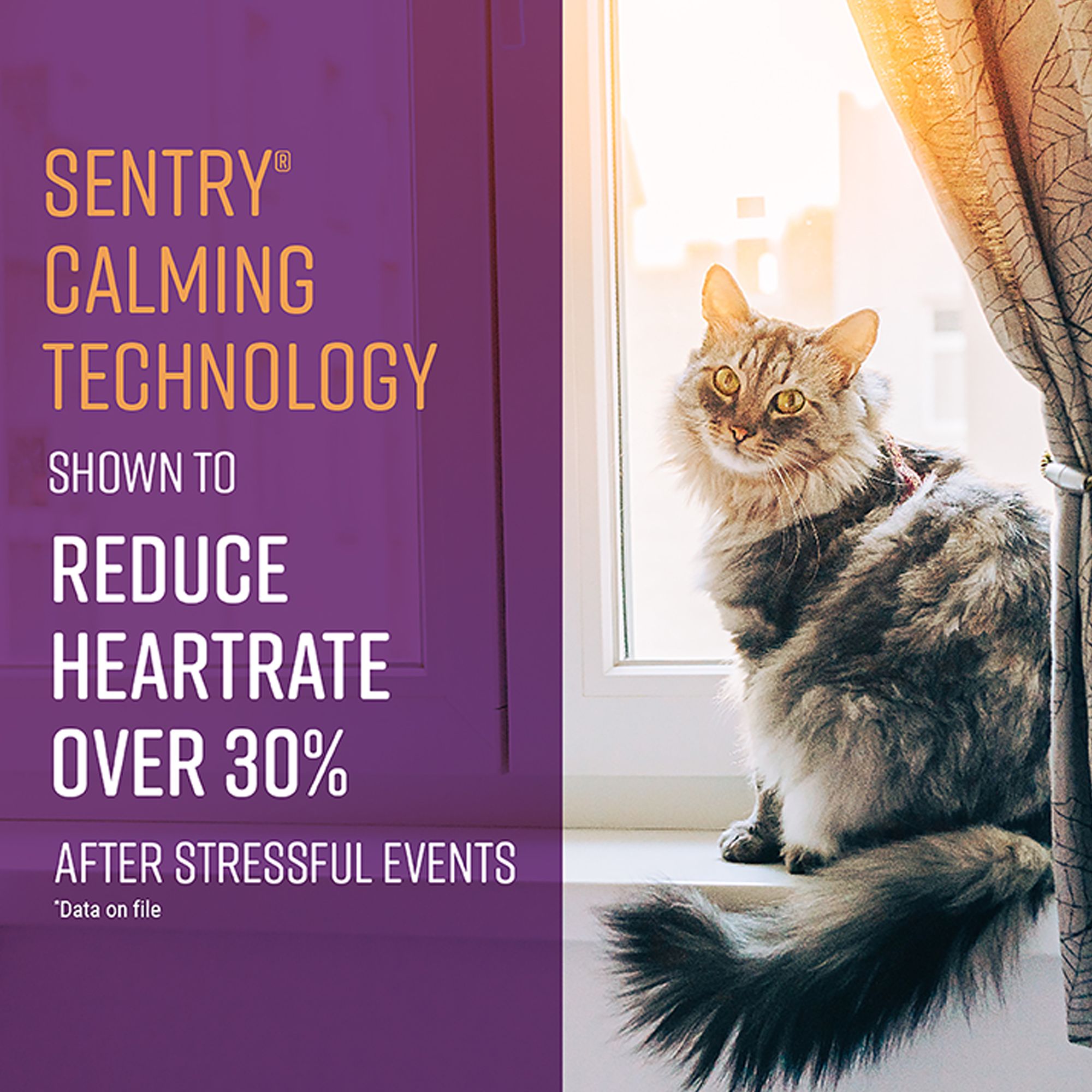 SENTRY® Cat Portable Calming Diffuser Refill, Stress Relief Aid for Cats, 30 Day Support, 2 Count - thumbnail 4