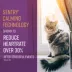 SENTRY® Portable Calming Diffuser Refill for Cats, 2 Count image thumbnail 4