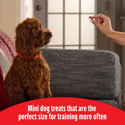 Milk-Bone All Life Stages Soft & Chewy Dog Training Treats Made With Real Filet Mignon - Beef 18 oz - Image 4