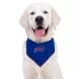 Pets First Buffalo Bills Tie Bandana image thumbnail 3