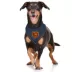 Pets First Chicago Bears Tie Bandana image thumbnail 3