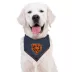 Pets First Chicago Bears Tie Bandana image thumbnail 4