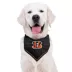 Pets First Cincinatti Bengals Tie Bandana image thumbnail 3