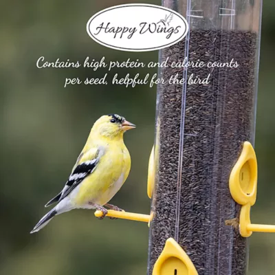 Happy Wings Nyjer Seed Wild Bird Food - Image 4