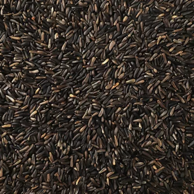 Happy Wings Nyjer Seed Wild Bird Food - Image 3