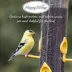 Happy Wings Nyjer Seed Wild Bird Food image thumbnail 4