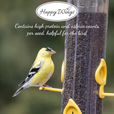 Happy Wings Nyjer Seed Wild Bird Food - Image 4