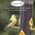 Happy Wings Nyjer Seed Wild Bird Food image thumbnail 4