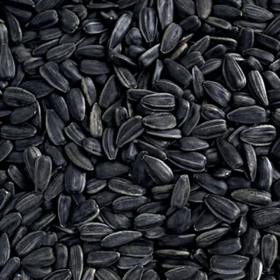 Happy Wings Black Oil Sunflower Seed - Image 3