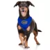 Pets First Florida Tie Bandana image thumbnail 2