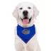 Pets First Florida Tie Bandana image thumbnail 3