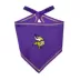 Pets First Minnesota Vikings Tie Bandana image thumbnail 1