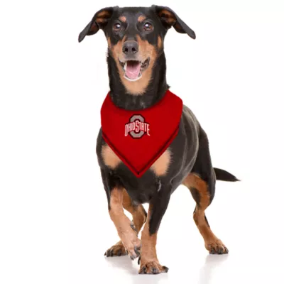 Pets First Ohio State Tie Bandana - Image 2