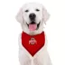 Pets First Ohio State Tie Bandana image thumbnail 3