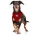 Pets First San Francisco 49ers Tie Bandana image thumbnail 2