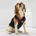 Pets First Portland Trailblazers Mesh Basketball Jersey image thumbnail 4