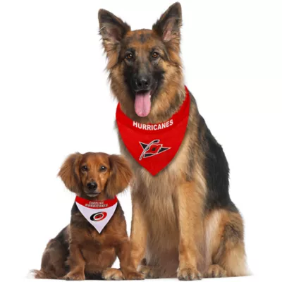 Pets First Carolina Hurricanes Reversible Bandana - Image 4