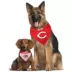Pets First Cincinnati Reds Reversible Bandana image thumbnail 2
