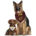 Pets First Cleveland Cavaliers Reversible Bandana image thumbnail 2