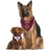 Pets First Colorado Avalanche Reversible Bandana image thumbnail 2