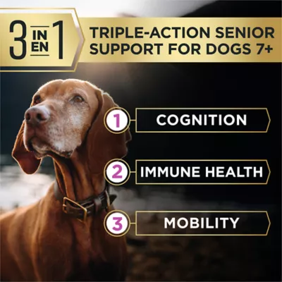 Purina Pro Plan AdvantEDGE Senior Support Plus Small Breed Shredded Chicken Formula Dry Dog Food - Image 2