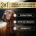 Purina Pro Plan AdvantEDGE Senior Support Plus Small Breed Shredded Chicken Formula Dry Dog Food image thumbnail 2