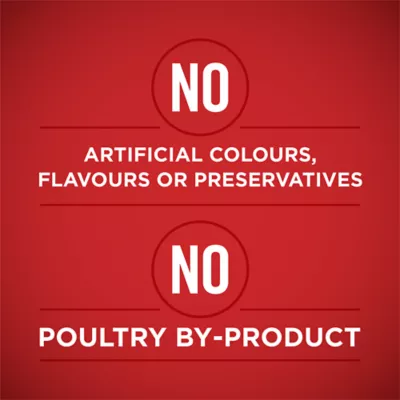 Purina ONE +Plus Bone & Joint Health Chicken & Brown Rice Entrée, Wet Dog Food - Image 4