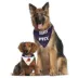 Pets First Phoenix Suns Reversible Bandana image thumbnail 2