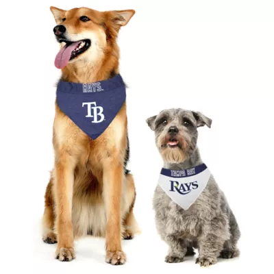 Pets First Tampa Bay Rays Reversible Bandana - Image 2