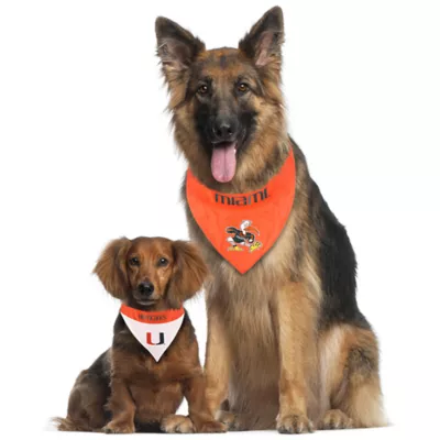 Pets First Miami Hurricanes NCAA Reversible Bandana - Image 2