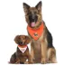 Pets First Miami Hurricanes NCAA Reversible Bandana image thumbnail 2