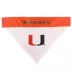 Pets First Miami Hurricanes NCAA Reversible Bandana image thumbnail 3