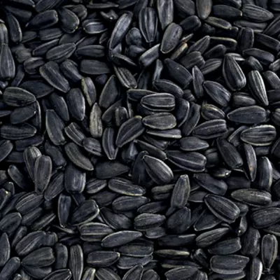 Happy Wings Black Oil Sunflower Seed - Image 3
