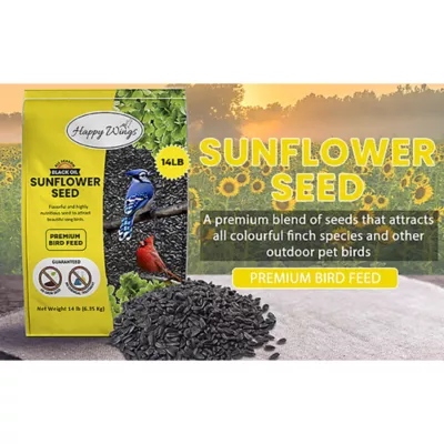 Happy Wings Black Oil Sunflower Seed - Image 4