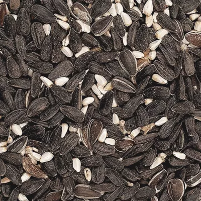 Happy Wings Cardinal Blend - Image 3