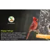 Happy Wings Cardinal Blend image thumbnail 8