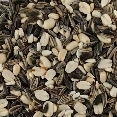 Happy Wings Songbird Blend - Image 3