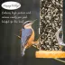 Happy Wings Songbird Blend image thumbnail 5