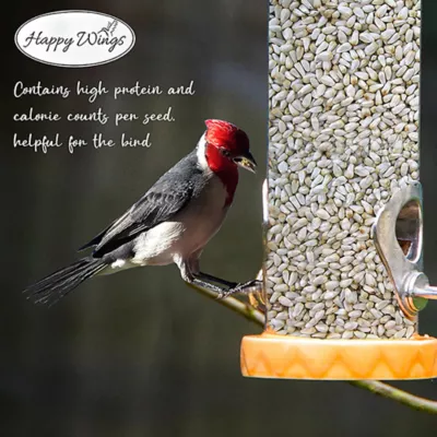 Happy Wings Safflower Seeds - Image 5