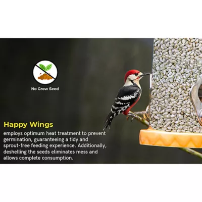 Happy Wings Safflower Seeds - Image 7