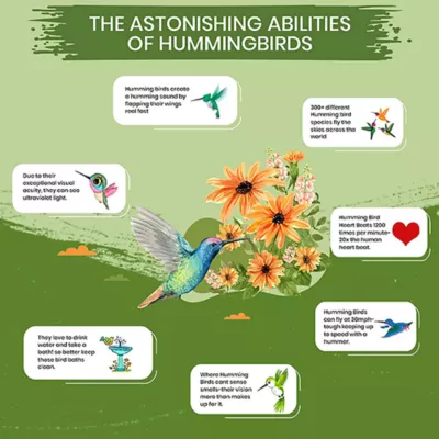 Product Happy Wings Hummingbird Concentrate