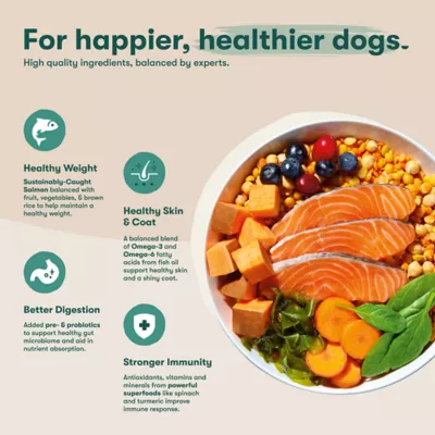 Jinx All Life Stages Grain-Free Dry Dog Food - Atlantic Salmon, Sweet Potato & Carrot - Image 4