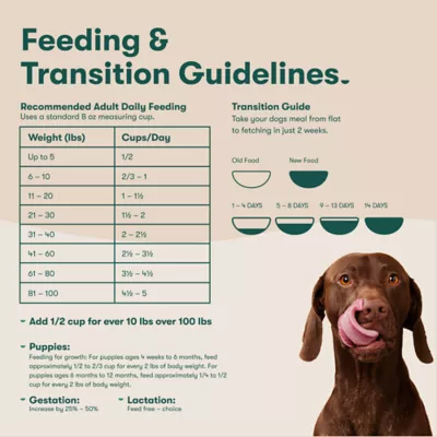 Jinx All Life Stages Grain-Free Dry Dog Food - Atlantic Salmon, Sweet Potato & Carrot - Image 10