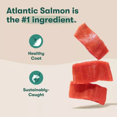 Jinx All Life Stages Dry Dog Food - Atlantic Salmon, Brown Rice & Sweet Potato - Image 3