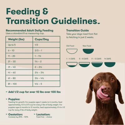 Jinx All Life Stages Dry Dog Food - Atlantic Salmon, Brown Rice & Sweet Potato - Image 10