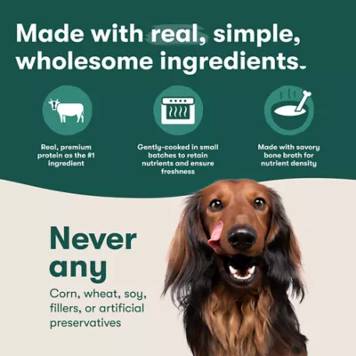 Jinx Homemades All Life Stages Wet Dog Food 9 oz - Image 5