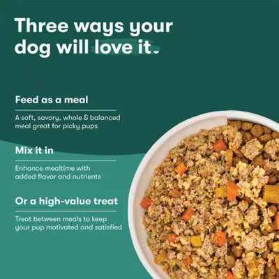 Jinx Homemades All Life Stages Wet Dog Food 9 oz - Image 7