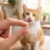 Catit Creamy Bitz Cat Treat Multipack, 8pk image thumbnail 2