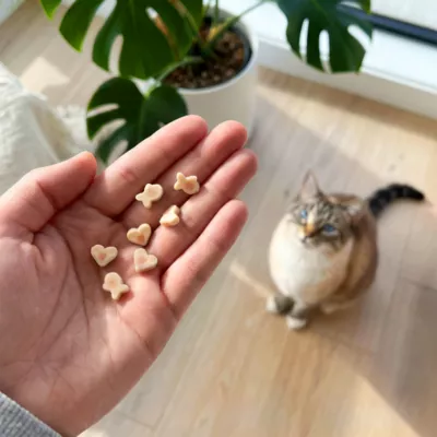 Catit Creamy Bitz Cat Treat - Image 3